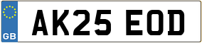 Truck License Plate
